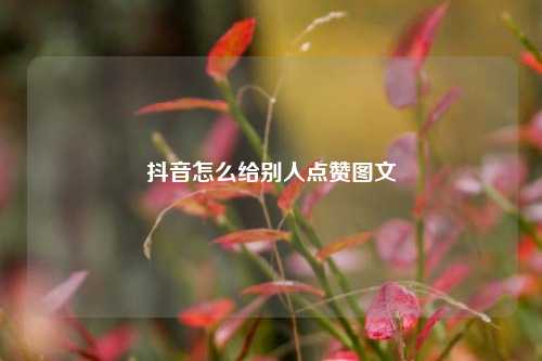 抖音怎么给别人点赞图文
