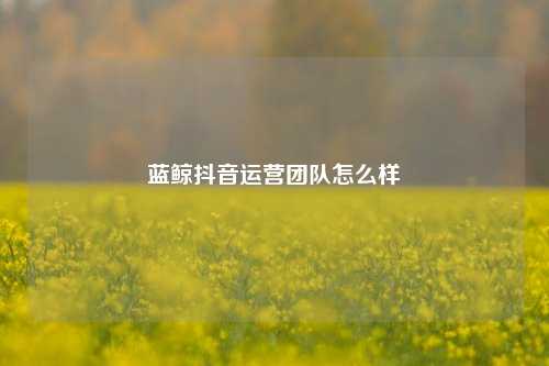 蓝鲸抖音运营团队怎么样