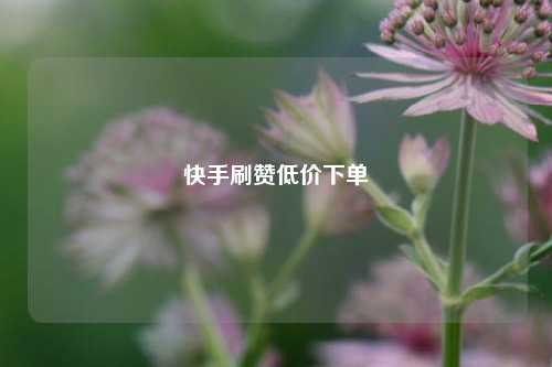 快手刷赞低价下单