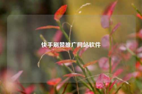 快手刷赞推广网站软件