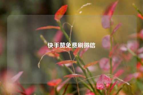 快手赞免费刷微信