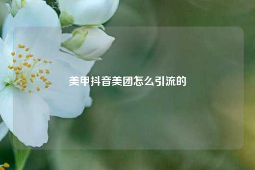 美甲抖音美团怎么引流的