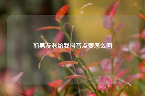 前男友老给我抖音点赞怎么回