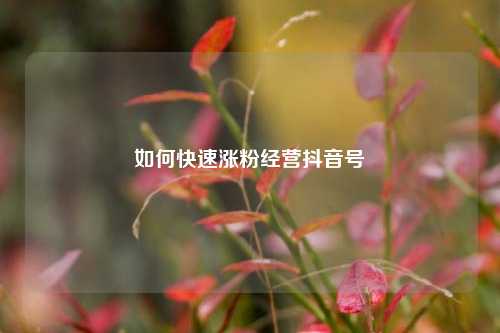 如何快速涨粉经营抖音号