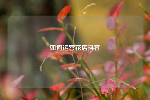 如何运营花店抖音