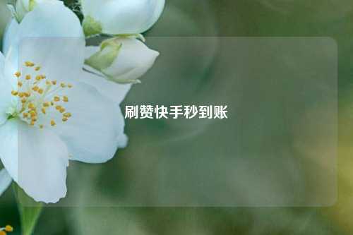 刷赞快手秒到账