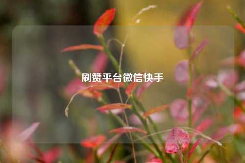 刷赞平台微信快手