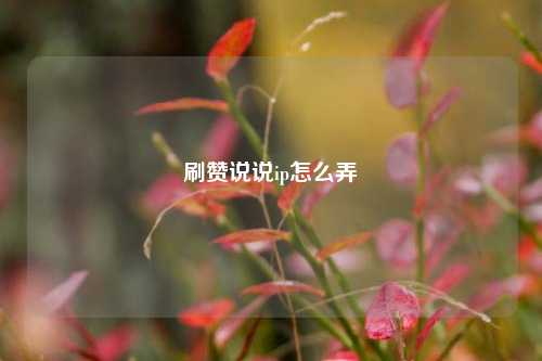 刷赞说说ip怎么弄